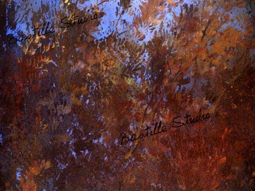 Commandez l'image  paysage/landscape_16