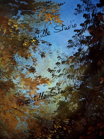 Commandez l'image  paysage/landscape_53