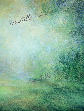 Commandez l'image  paysage/landscape_56