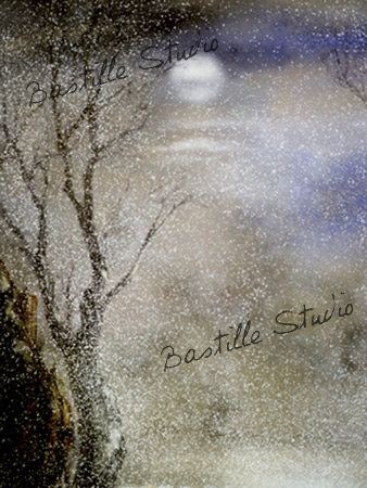 Commandez l'image  paysage/landscape_61